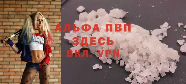 мдпв Осташков