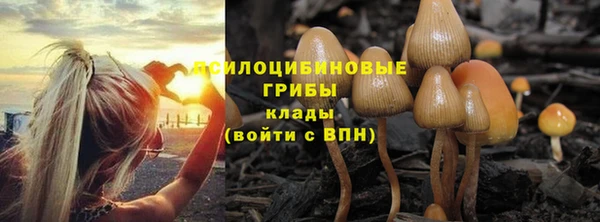 мдпв Осташков