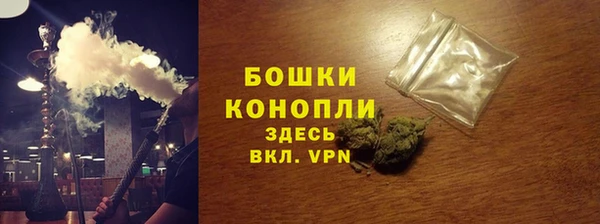 мдпв Осташков