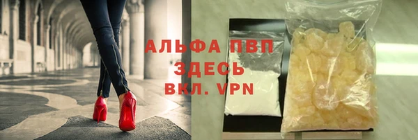 мдпв Осташков