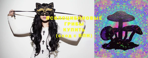 мескалин Дегтярск