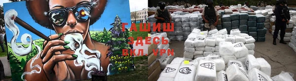 мдпв Осташков